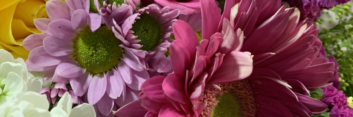 LILIPRADIS's profile banner image