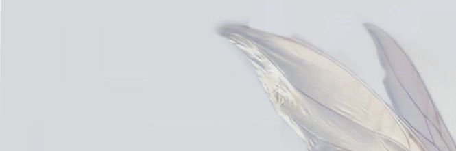 _MA047's profile banner image