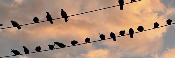 jodi_death Profile Banner