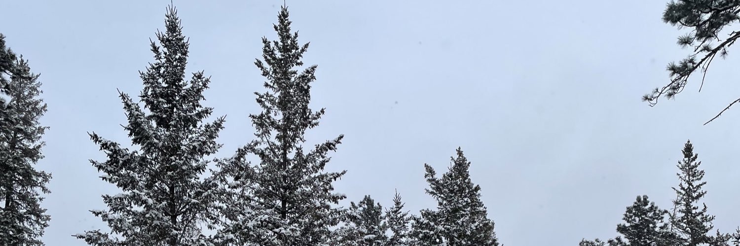 mason_timm's profile banner image