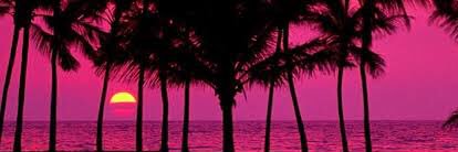 fenyskay's profile banner image
