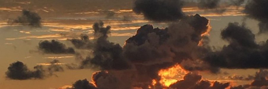 renny_savage's profile banner image