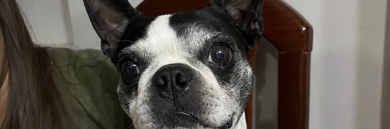 LuAbraham's profile banner image