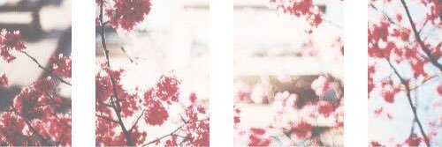ayekellly's profile banner image