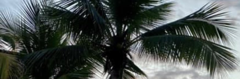 logan_king3's profile banner image