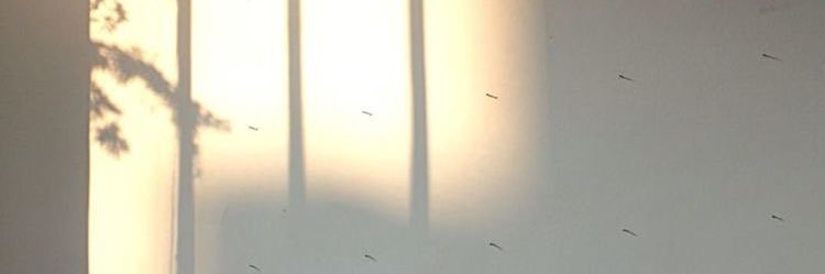 Skyy_vt's profile banner image