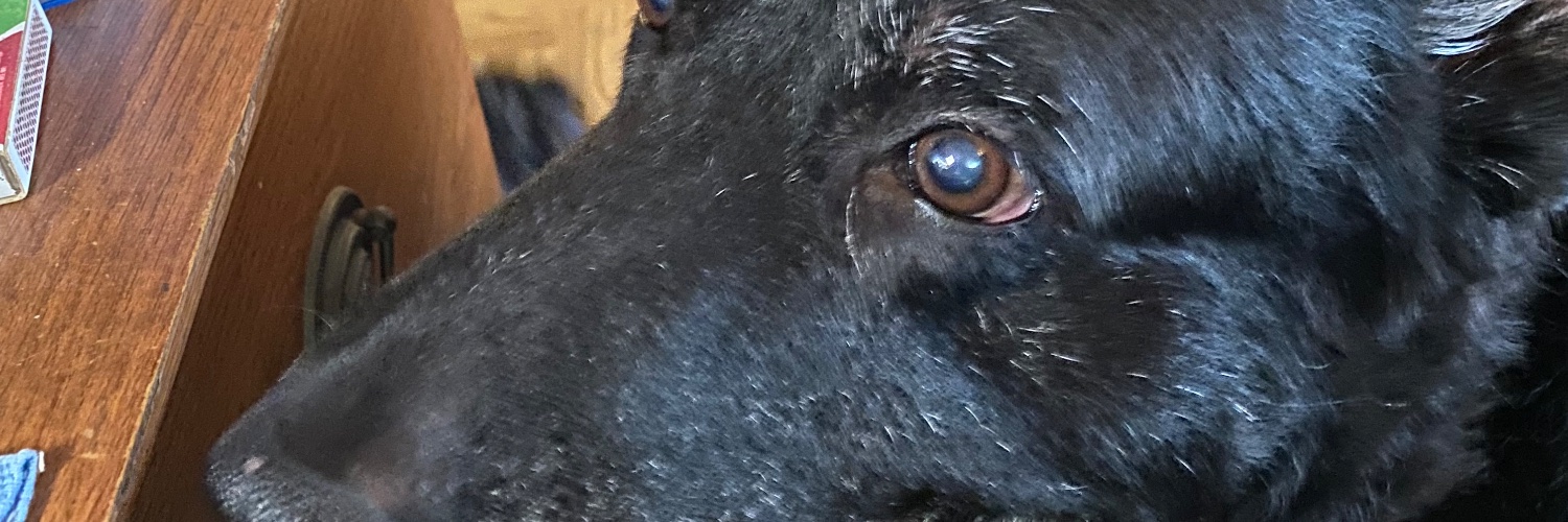 Catay41158's profile banner image