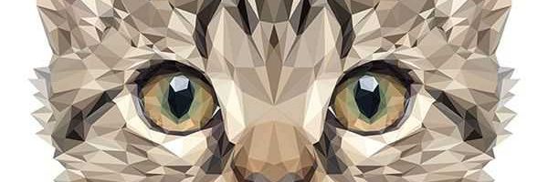 dheazier's profile banner image