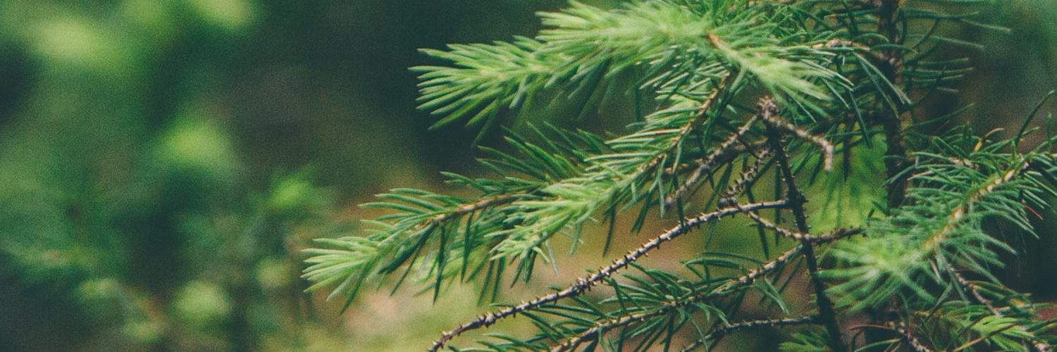 moelhanz's profile banner image