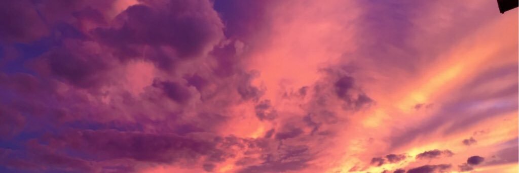 Amy banner