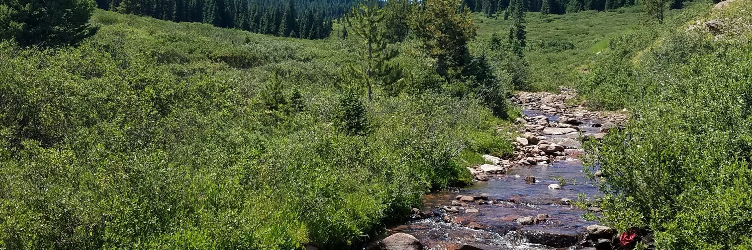 millergarrett93's profile banner image