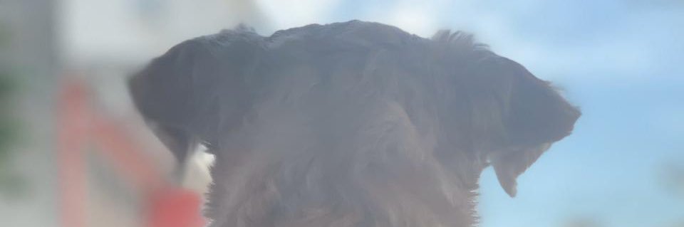 ReebeBernal's profile banner image