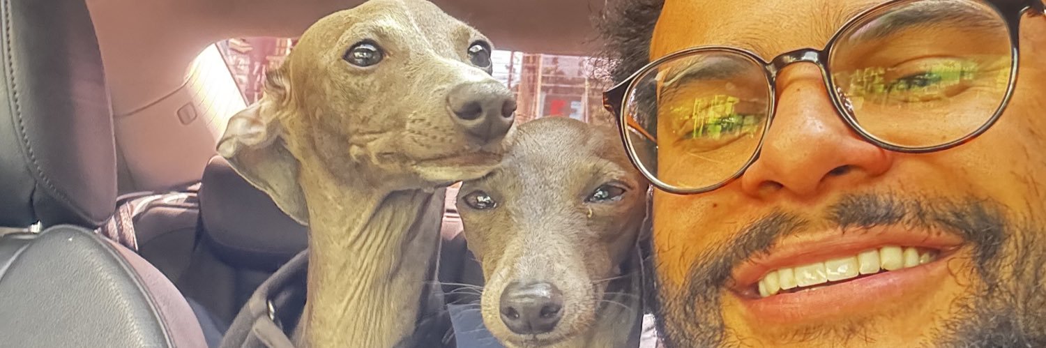 Felipeboraschi's profile banner image