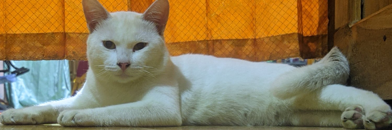 Nowyoushitme's profile banner image