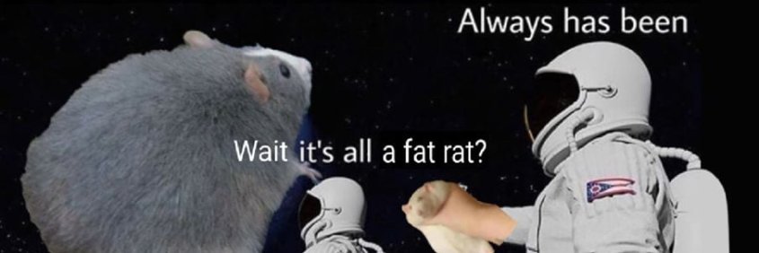 Chungle_Bungle's profile banner image