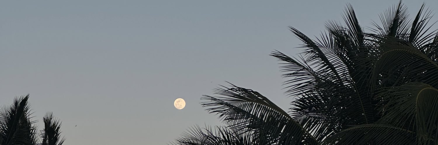 anapaolabran's profile banner image
