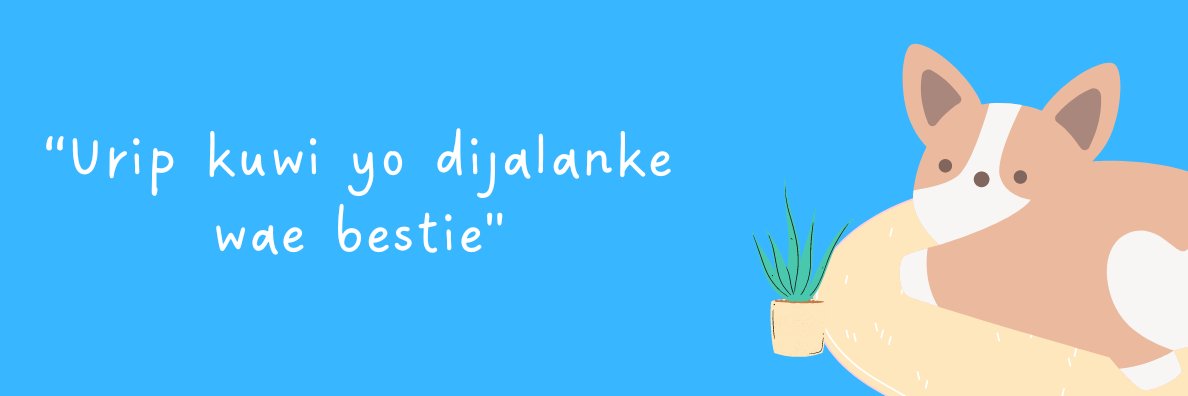 risasusi25's profile banner image