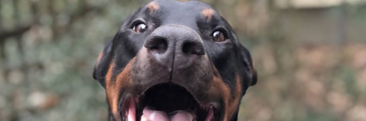 Broob_CEO's profile banner image