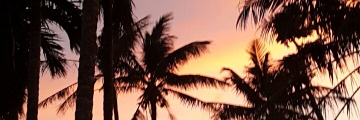 NSabs_'s profile banner image