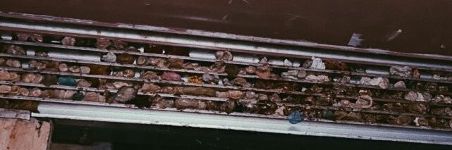 AlinaYurchenko1's profile banner image