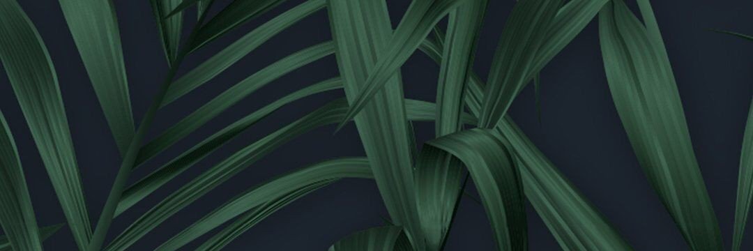 Santi_bluee's profile banner image