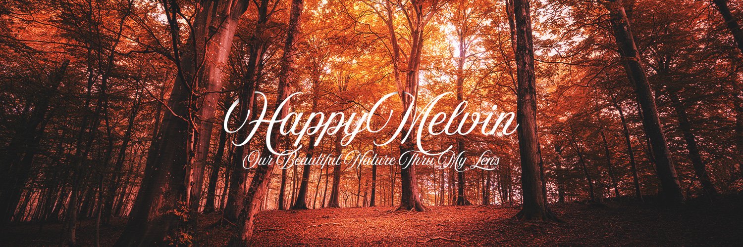 HappyMelvin's profile banner image