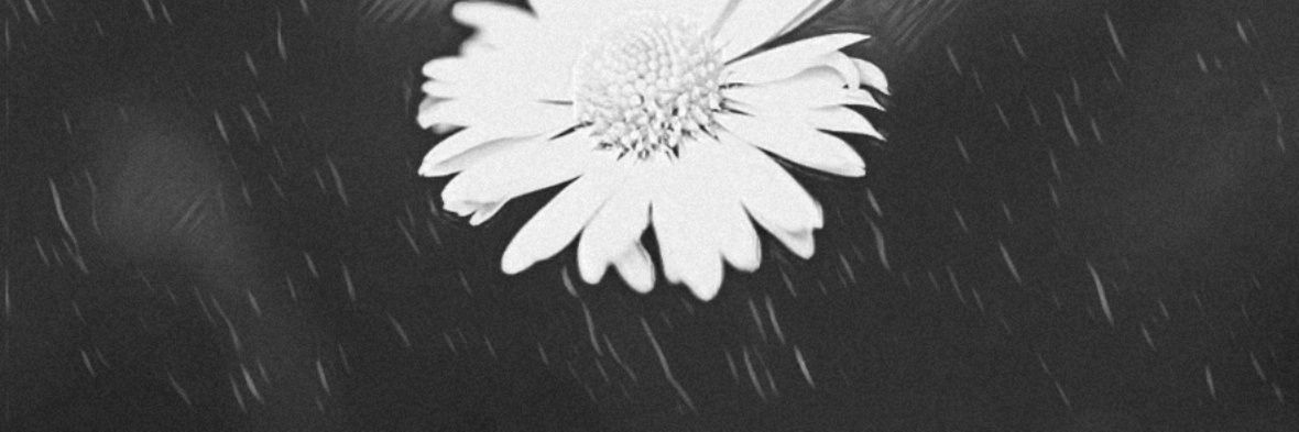 jemxcvi's profile banner image