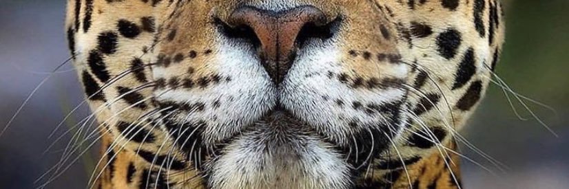 Lick_Me2094's profile banner image