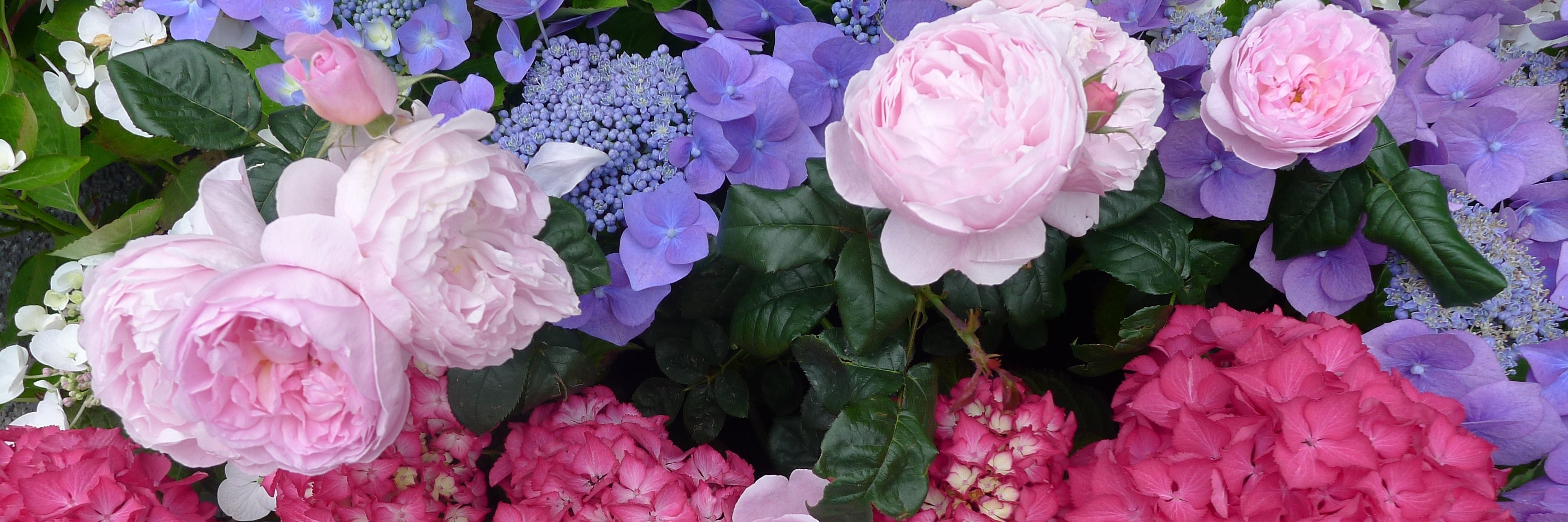 georgie_mh's profile banner image