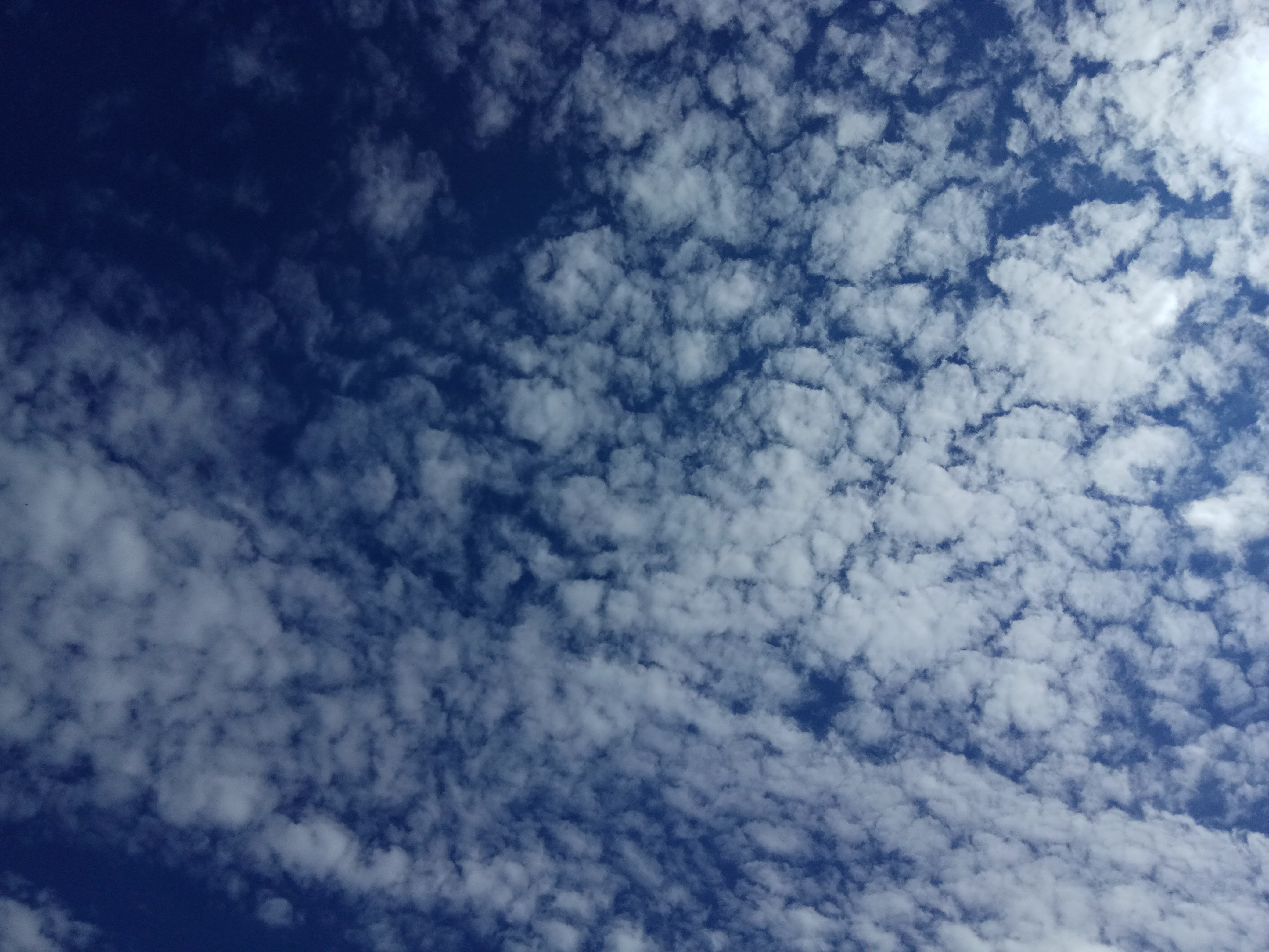 . banner