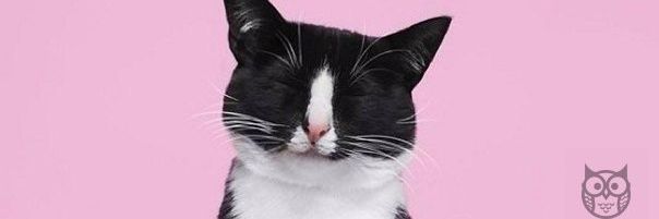 leparkenzo's profile banner image