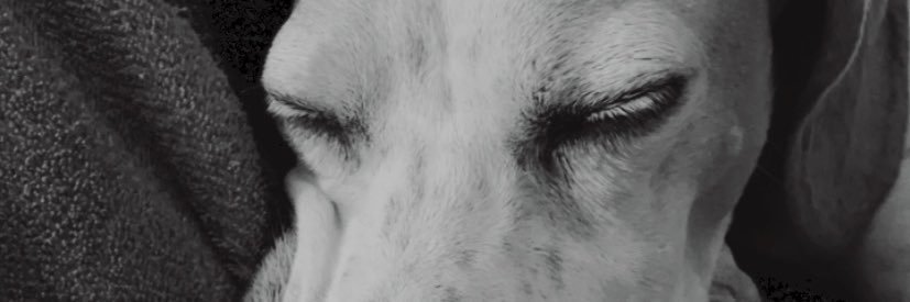 loreenaabalos's profile banner image