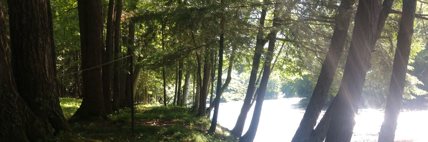UberLuc's profile banner image