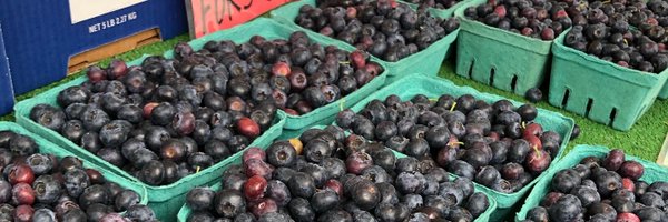 CoquitlamMarket Profile Banner