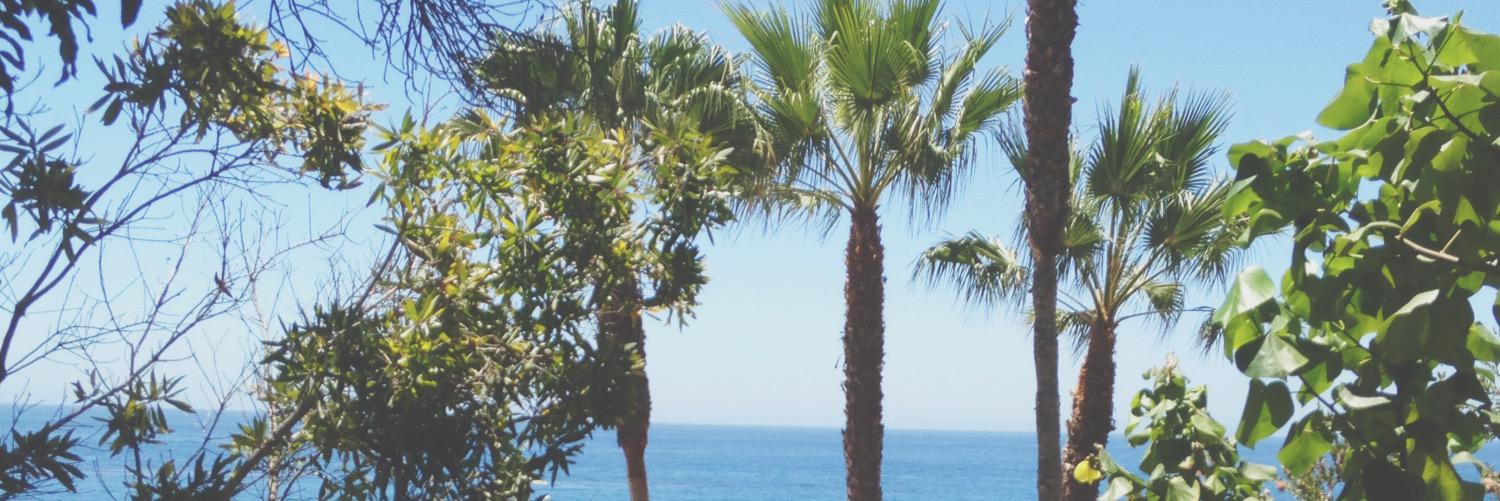 jaanesarah's profile banner image