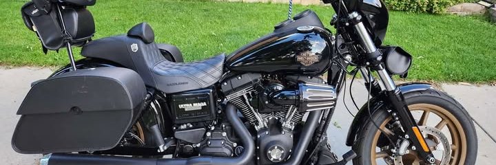 HogWildnColorado's banner