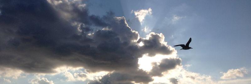 ChuckHachenbach's profile banner image