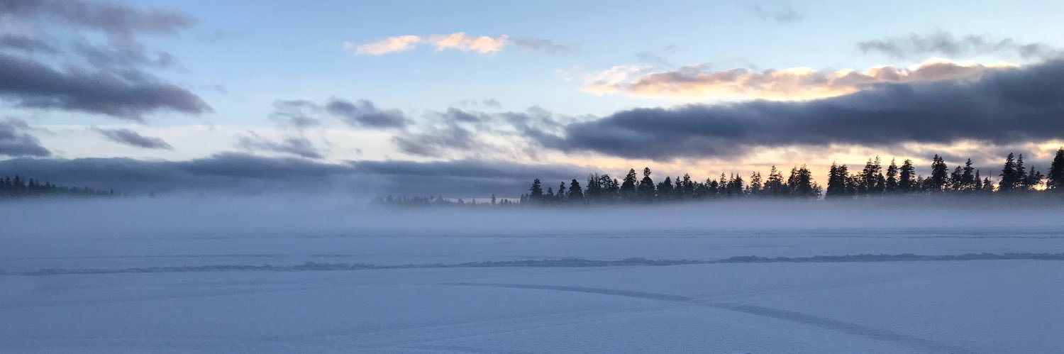 Stuart Comley banner