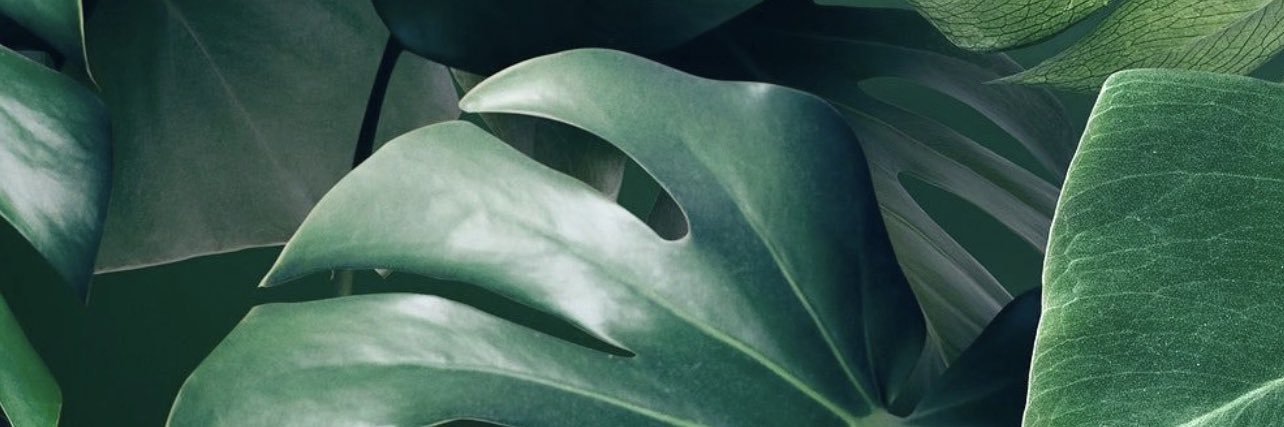 vxnyssa's profile banner image