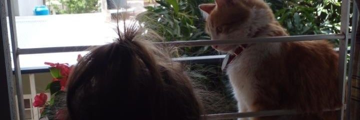 andreavfrancoo's profile banner image