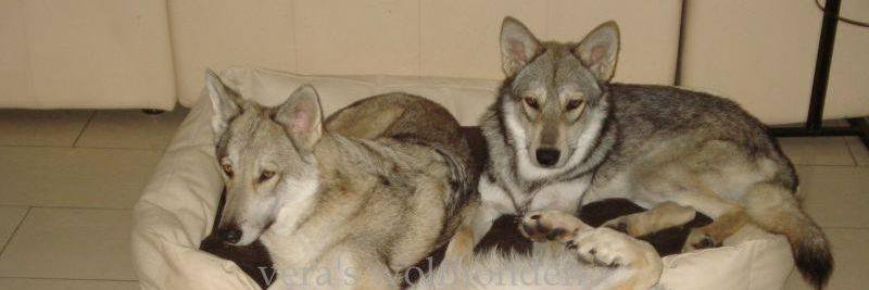 Ria Blanke Vrouw banner