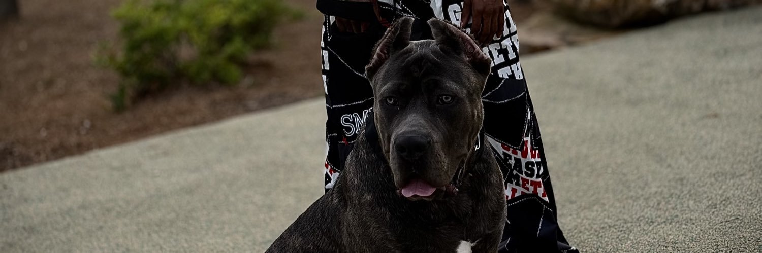 RespectMy_Shit's profile banner image