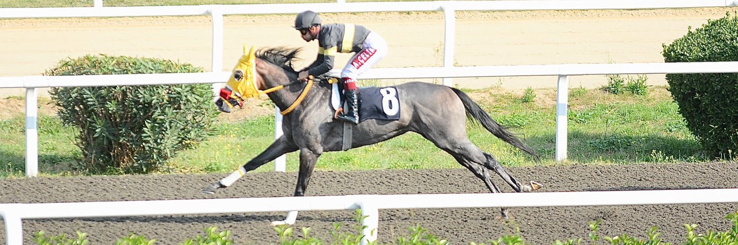 ÇAĞRI SEL banner