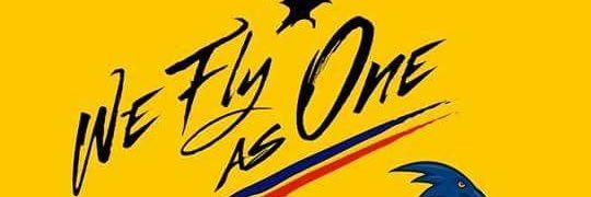 AllonsY5477's profile banner image