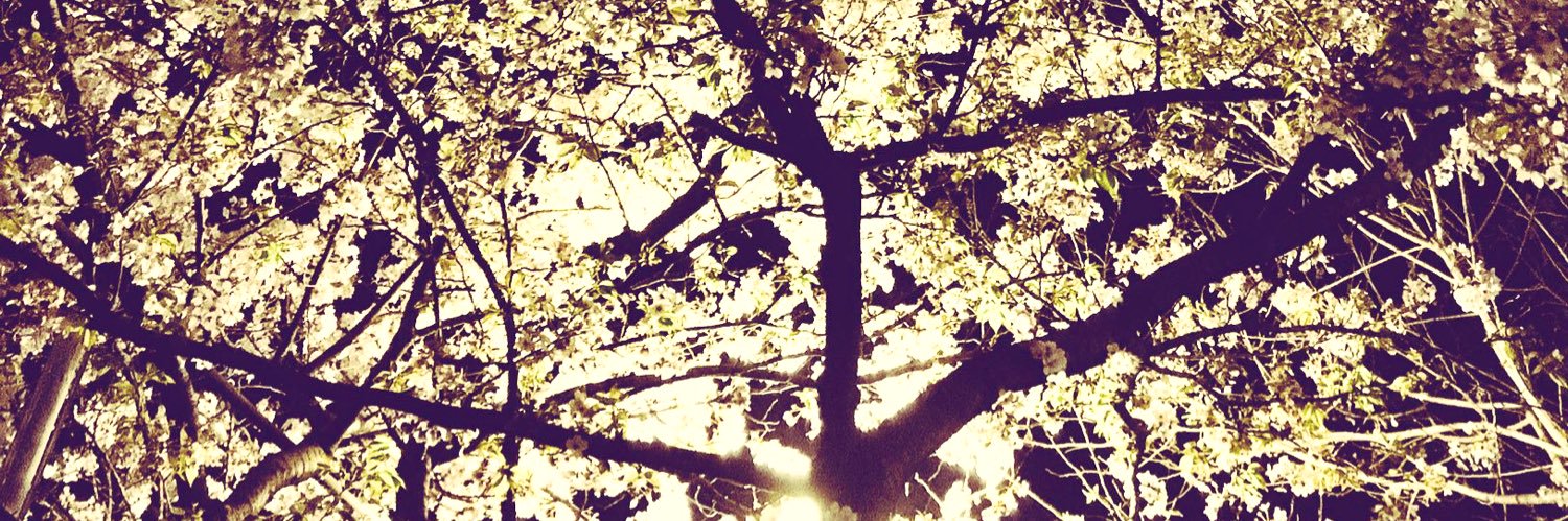 horiorion's profile banner image