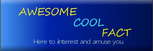 FactAwesomeCool's profile banner image