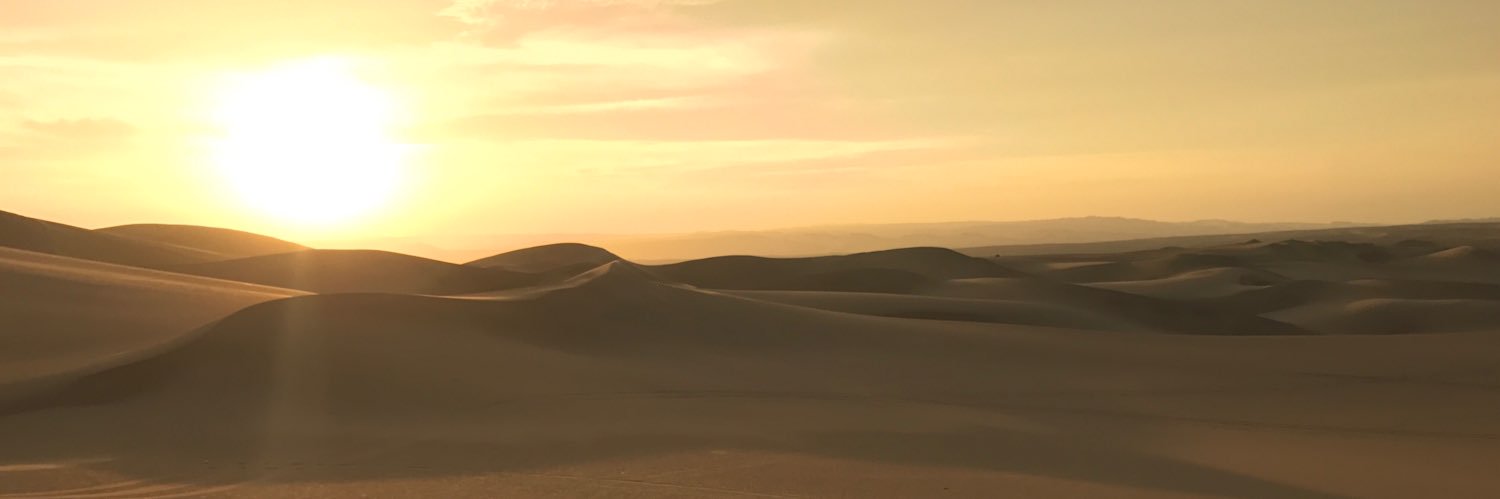 ChampagneSupernova🔮 banner