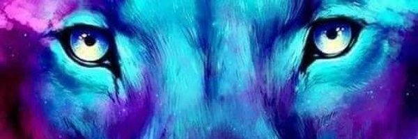 barnybearuk Profile Banner