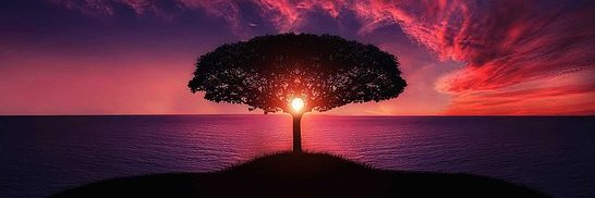 faithdlamn's profile banner image