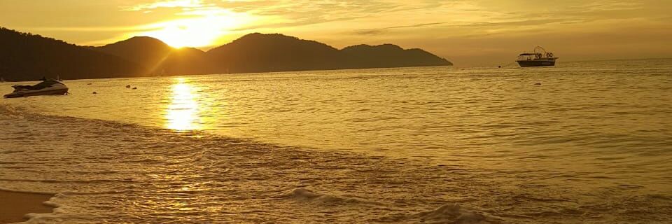 TS_triana's profile banner image